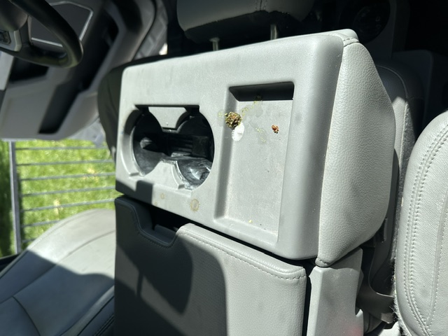 Before interior detailing: grimy rear seat back cup holder in a Ford F-150 Lariat